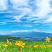 ヒメ日記 2025/10/11 07:59 投稿 はな 多治見・土岐・春日井ちゃんこ