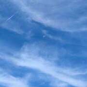 ヒメ日記 2025/10/14 08:59 投稿 はな 多治見・土岐・春日井ちゃんこ