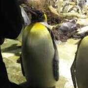 ヒメ日記 2025/10/16 06:59 投稿 はな 多治見・土岐・春日井ちゃんこ