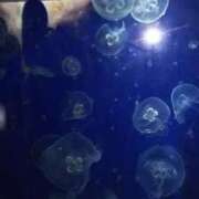 ヒメ日記 2025/10/16 20:49 投稿 はな 多治見・土岐・春日井ちゃんこ