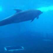 ヒメ日記 2025/10/18 07:43 投稿 はな 多治見・土岐・春日井ちゃんこ