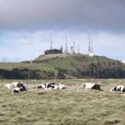 ヒメ日記 2025/10/19 06:49 投稿 はな 多治見・土岐・春日井ちゃんこ