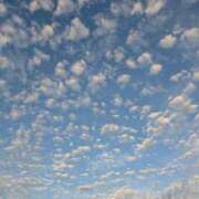 ヒメ日記 2025/10/21 14:24 投稿 はな 多治見・土岐・春日井ちゃんこ