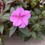 ヒメ日記 2025/10/22 07:30 投稿 はな 多治見・土岐・春日井ちゃんこ