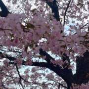 ヒメ日記 2025/04/28 17:48 投稿 さゆ ソープランド看護学院ディエックス