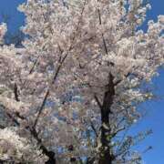 ヒメ日記 2025/05/02 17:19 投稿 さゆ ソープランド看護学院ディエックス