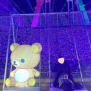 ヒメ日記 2024/12/14 08:45 投稿 ももか 奥様鉄道69 東京店