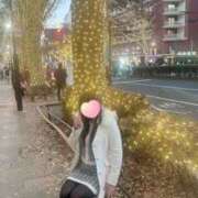 ヒメ日記 2024/12/15 11:45 投稿 ももか 奥様鉄道69 東京店