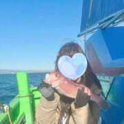 ヒメ日記 2025/02/12 16:35 投稿 ももか 奥様鉄道69 東京店