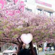 ヒメ日記 2025/02/16 10:15 投稿 ももか 奥様鉄道69 東京店