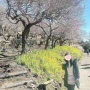 ヒメ日記 2025/03/22 09:55 投稿 ももか 奥様鉄道69 東京店