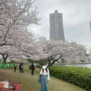 ヒメ日記 2025/03/25 16:55 投稿 ももか 奥様鉄道69 東京店