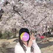 ヒメ日記 2025/03/28 17:35 投稿 ももか 奥様鉄道69 東京店