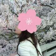 ヒメ日記 2025/03/29 10:28 投稿 ももか 奥様鉄道69 東京店