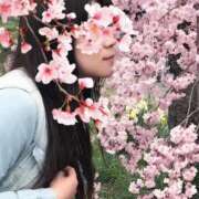 ヒメ日記 2025/04/04 10:47 投稿 ももか 奥様鉄道69 東京店