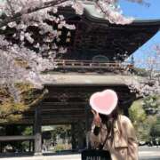 ヒメ日記 2025/04/05 23:35 投稿 ももか 奥様鉄道69 東京店