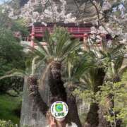 ヒメ日記 2025/04/09 17:55 投稿 ももか 奥様鉄道69 東京店