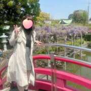 ヒメ日記 2025/04/18 07:45 投稿 ももか 奥様鉄道69 東京店