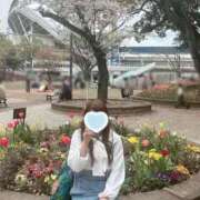 ヒメ日記 2025/05/08 14:44 投稿 ももか 奥様鉄道69 東京店