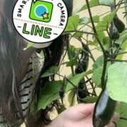 ヒメ日記 2025/05/29 08:15 投稿 ももか 奥様鉄道69 東京店