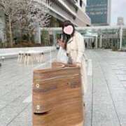 ヒメ日記 2025/06/07 12:06 投稿 ももか 奥様鉄道69 東京店