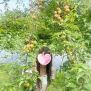 ヒメ日記 2025/06/18 07:45 投稿 ももか 奥様鉄道69 東京店