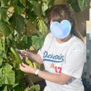 ヒメ日記 2025/06/22 10:05 投稿 ももか 奥様鉄道69 東京店