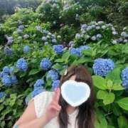 ヒメ日記 2025/06/25 13:05 投稿 ももか 奥様鉄道69 東京店