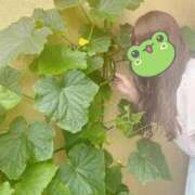 ヒメ日記 2025/07/23 10:15 投稿 ももか 奥様鉄道69 東京店