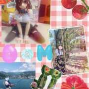 ヒメ日記 2025/07/25 16:25 投稿 ももか 奥様鉄道69 東京店