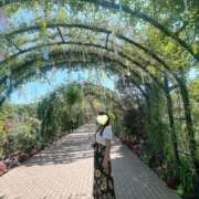 ヒメ日記 2025/07/26 10:55 投稿 ももか 奥様鉄道69 東京店