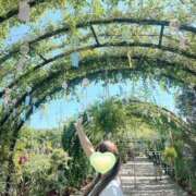 ヒメ日記 2025/07/26 18:35 投稿 ももか 奥様鉄道69 東京店