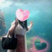 ヒメ日記 2025/07/28 14:55 投稿 ももか 奥様鉄道69 東京店