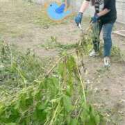 ヒメ日記 2025/08/24 16:55 投稿 ももか 奥様鉄道69 東京店