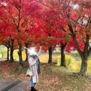 ヒメ日記 2025/10/27 15:47 投稿 ももか 奥様鉄道69 東京店