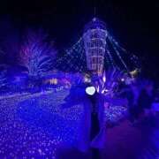 ヒメ日記 2025/12/23 18:45 投稿 ももか 奥様鉄道69 東京店