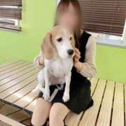 ヒメ日記 2024/12/17 20:03 投稿 乙葉　きせき NADIA神戸店