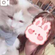 ヒメ日記 2025/03/13 01:37 投稿 乙葉　きせき NADIA神戸店