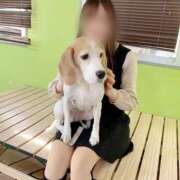 ヒメ日記 2026/03/31 20:22 投稿 乙葉　きせき NADIA神戸店