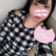 ヒメ日記 2025/04/02 14:32 投稿 はる☆ 豊橋豊川ちゃんこ