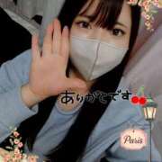 ヒメ日記 2025/04/15 15:02 投稿 はる☆ 豊橋豊川ちゃんこ