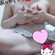 ヒメ日記 2025/04/15 20:02 投稿 はる☆ 豊橋豊川ちゃんこ