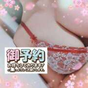 ヒメ日記 2025/06/08 11:42 投稿 はる☆ 豊橋豊川ちゃんこ