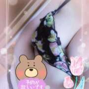 ヒメ日記 2025/06/10 19:02 投稿 はる☆ 豊橋豊川ちゃんこ