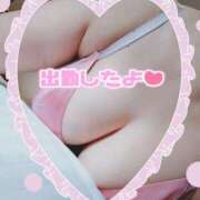 ヒメ日記 2025/06/25 13:22 投稿 はる☆ 豊橋豊川ちゃんこ