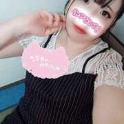 ヒメ日記 2025/07/07 19:26 投稿 はる☆ 豊橋豊川ちゃんこ