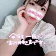 ヒメ日記 2025/09/12 20:12 投稿 はる☆ 豊橋豊川ちゃんこ