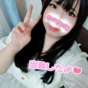 ヒメ日記 2025/09/19 13:17 投稿 はる☆ 豊橋豊川ちゃんこ