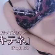 ヒメ日記 2025/09/20 11:24 投稿 はる☆ 豊橋豊川ちゃんこ