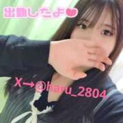 ヒメ日記 2025/10/21 13:02 投稿 はる☆ 豊橋豊川ちゃんこ